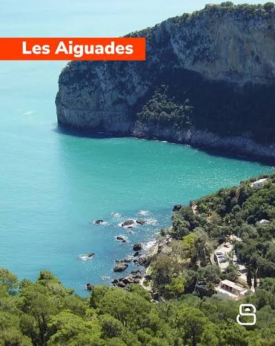 Algérie — Colonie échange enfants — photo 1